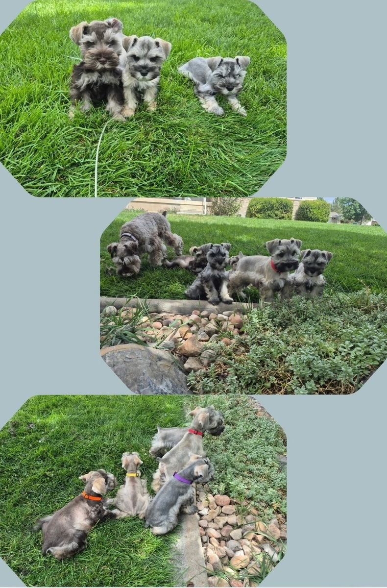 Main image 6