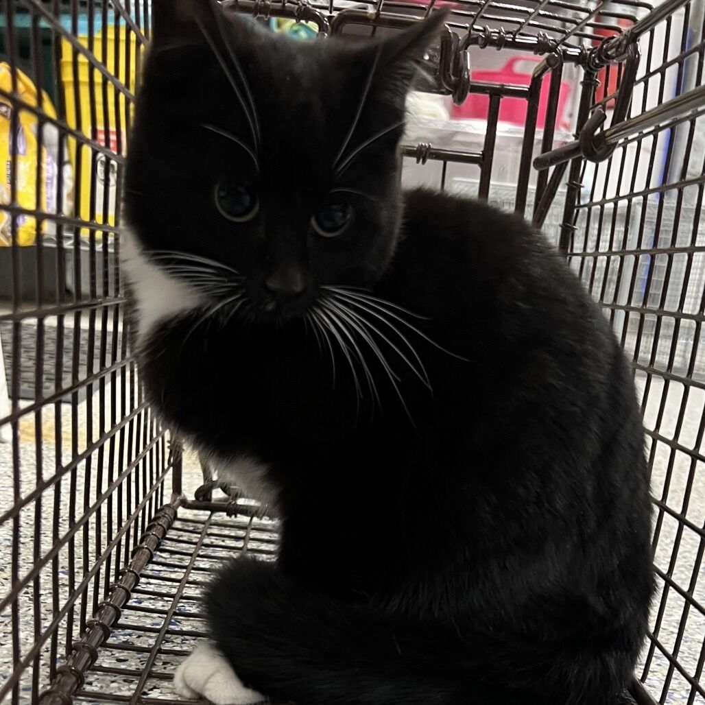 Hello my name is Bex