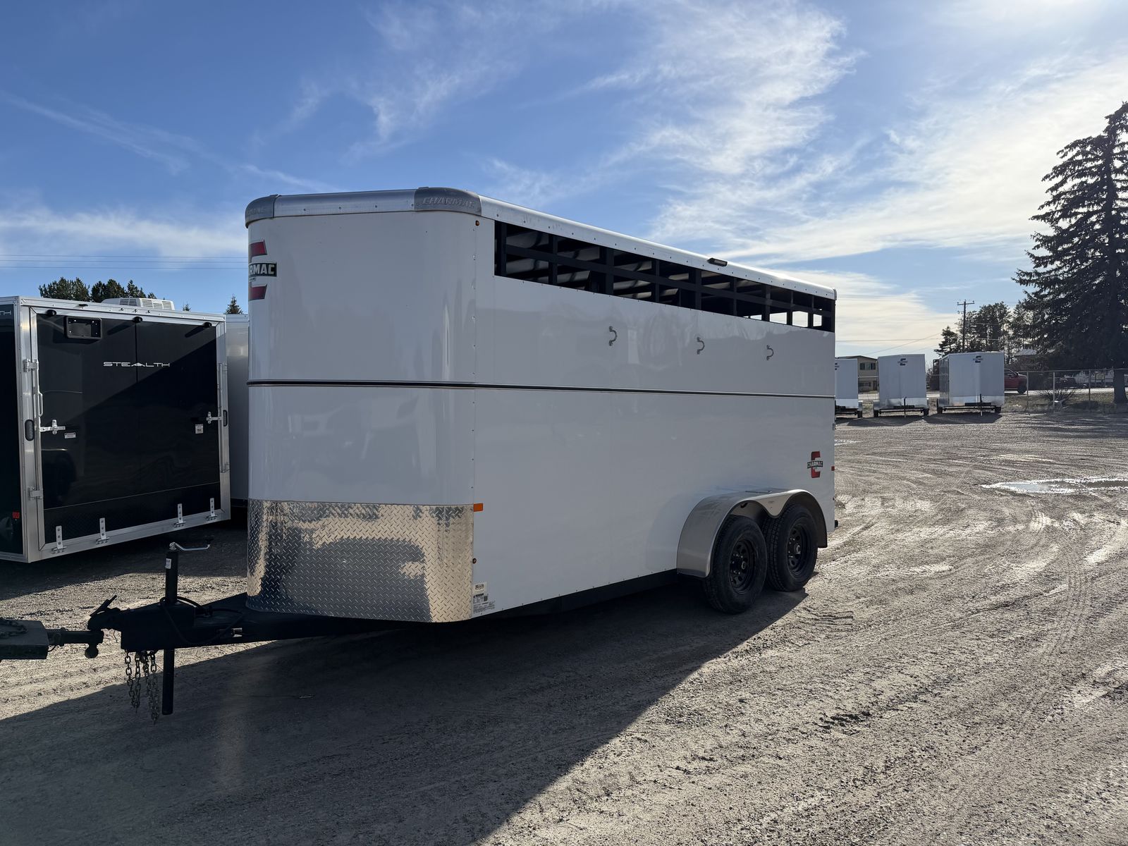 2024 Triple C 3 Horse