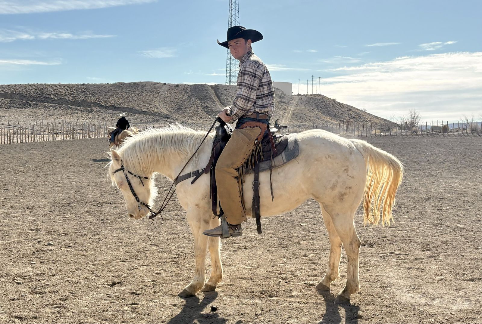 4 year old Quarter Horse Filly