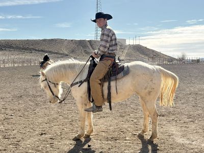 4 year old Quarter Horse Filly