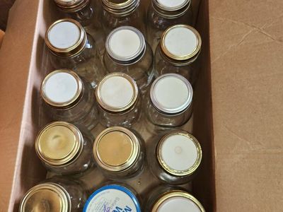 Assorted Glass Canning Jars - Quart and Pint Sizes