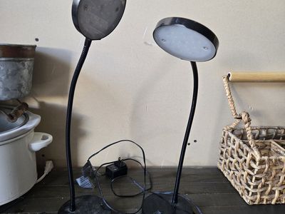 2 Desk Lamps