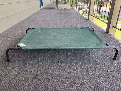 Steel Framed Elevated Dog Bed