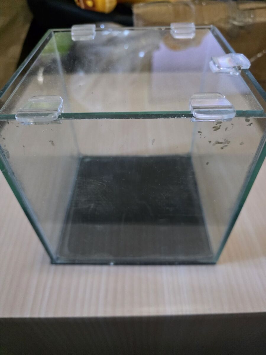 Chipped 1 gallon rimless fish tank + lid