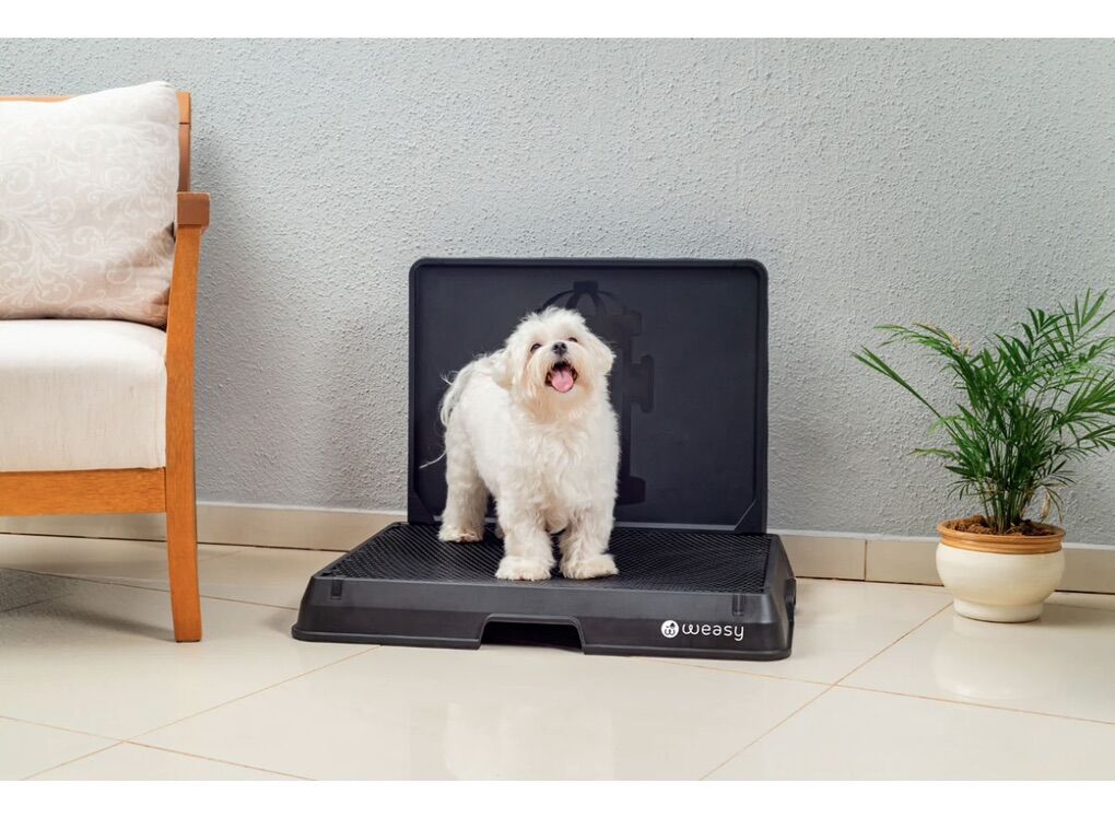 Indoor Dog Potty