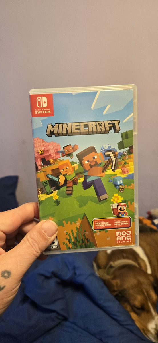 Minecraft Nintendo switch