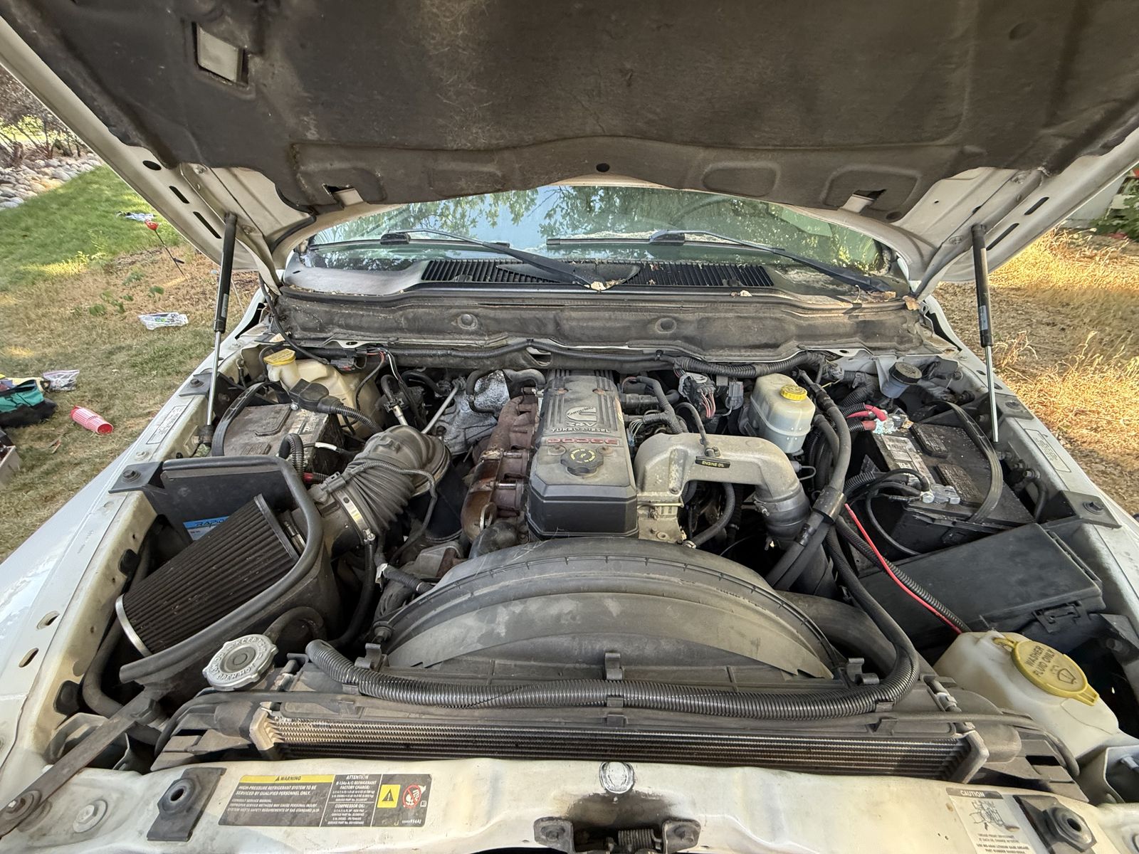 Main image 10