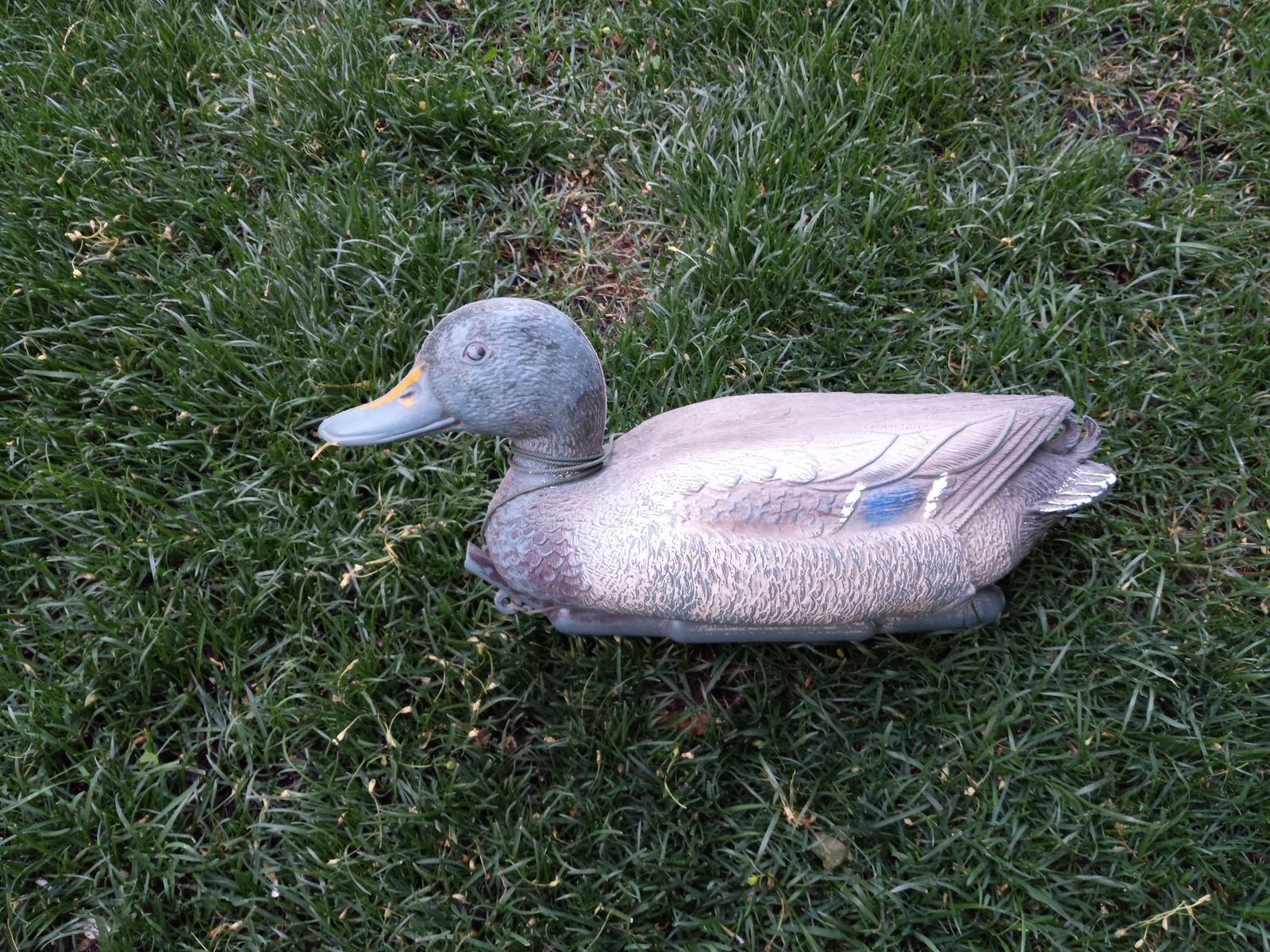 Duck decoys with weights/ dozen