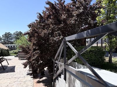 Free tree