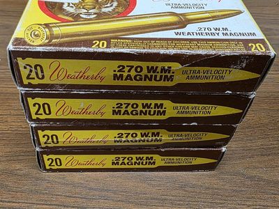 .270 WM Magnum Rounds