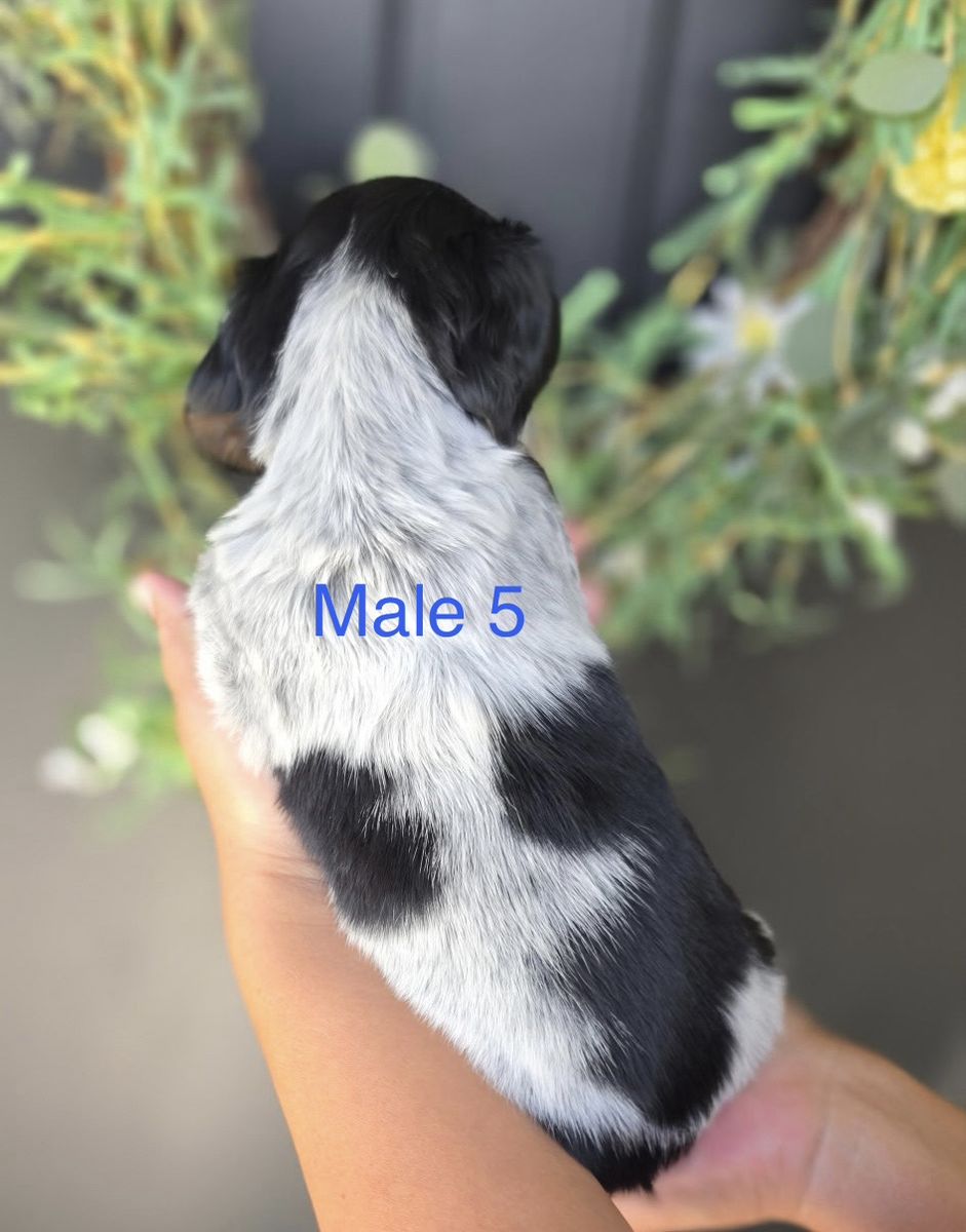 Main image 3
