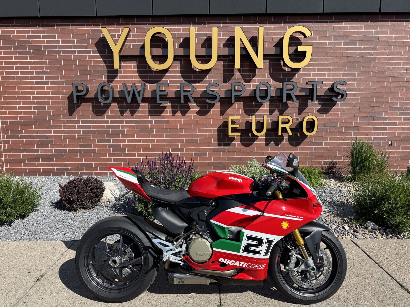 2024 Ducati Panigale V2 Bayliss