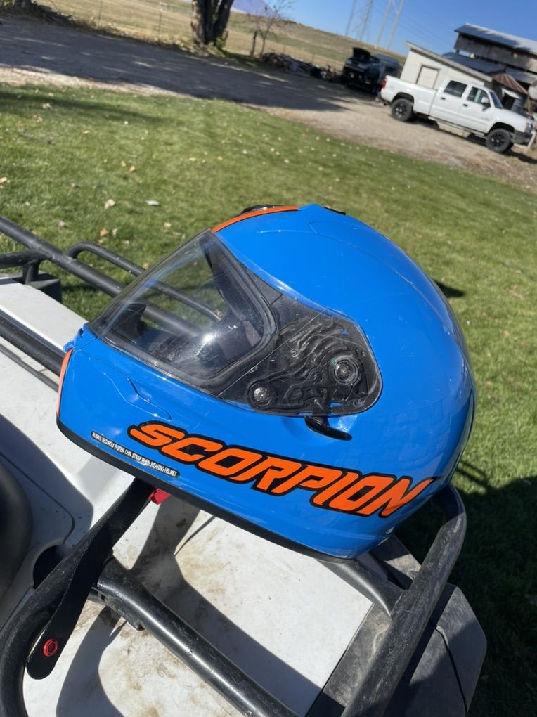 Scorpion Helmet