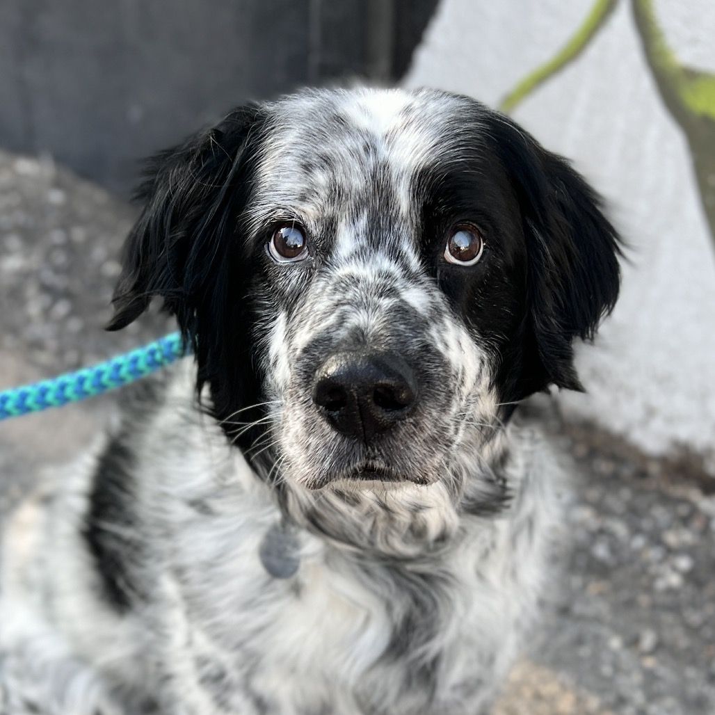 Hello my name is Ben