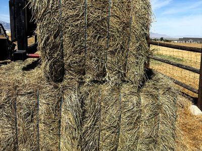 Large Hay Bales - Farm Fresh Feed