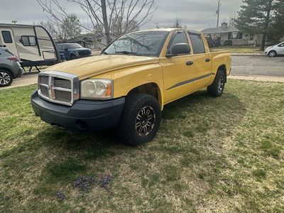 2006 DODGE DAKOTA SLT