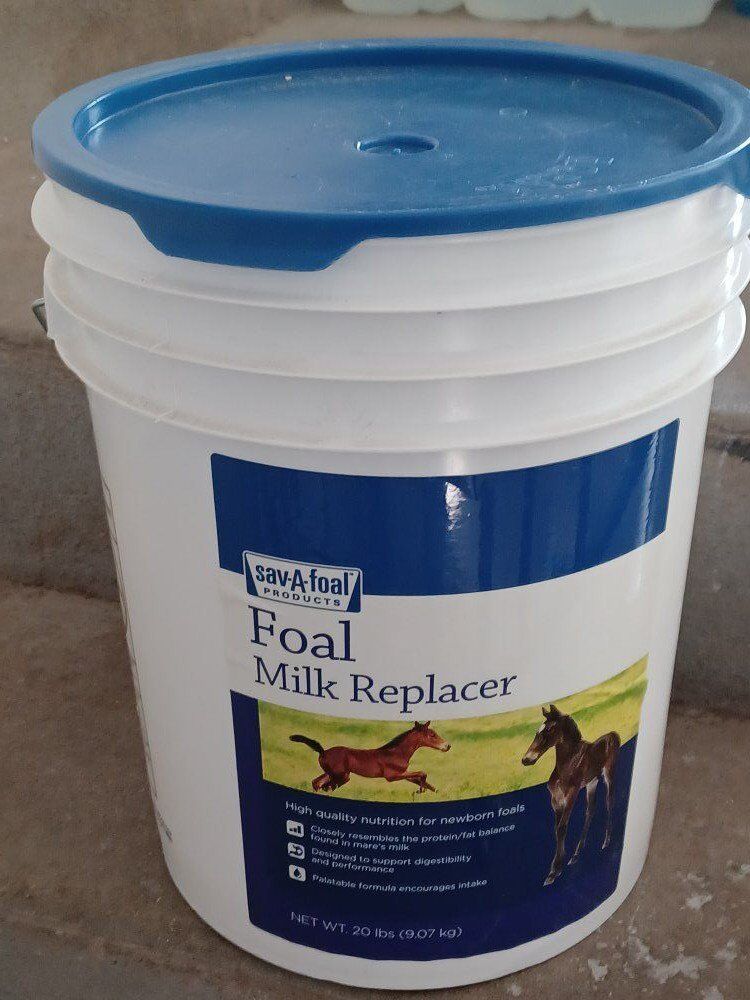 Foal Milk Replacer