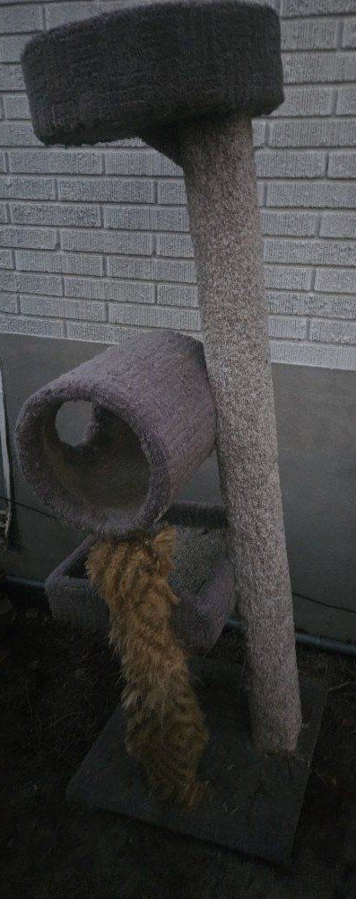Gray Carpeted Cat Tree with Tunnel, Perch & Scratching Post