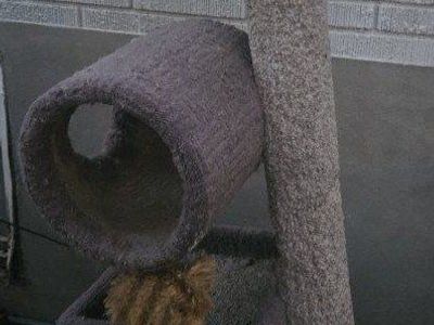 Gray Carpeted Cat Tree with Tunnel, Perch & Scratching Post