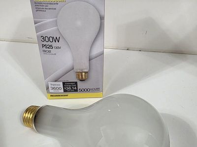 Satco (18pcs) 300w 3600lm Incandescent Bulbs