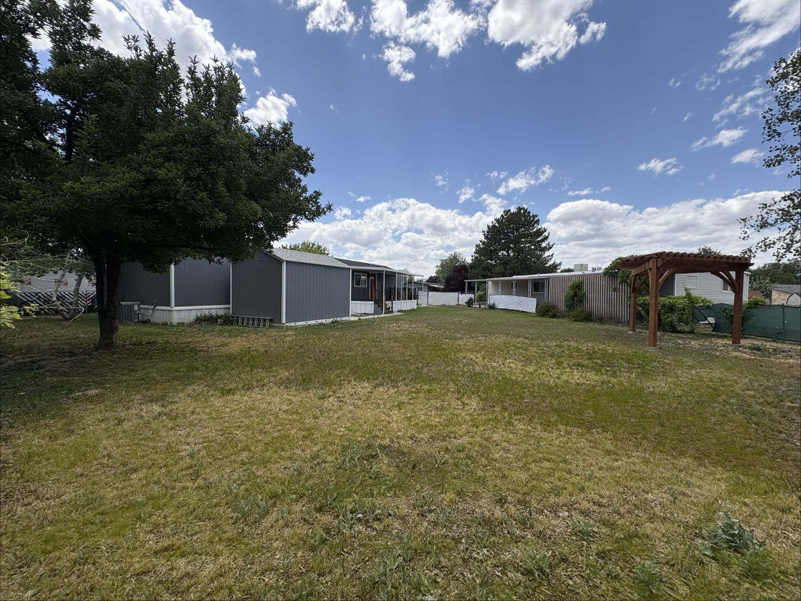 Main image 11