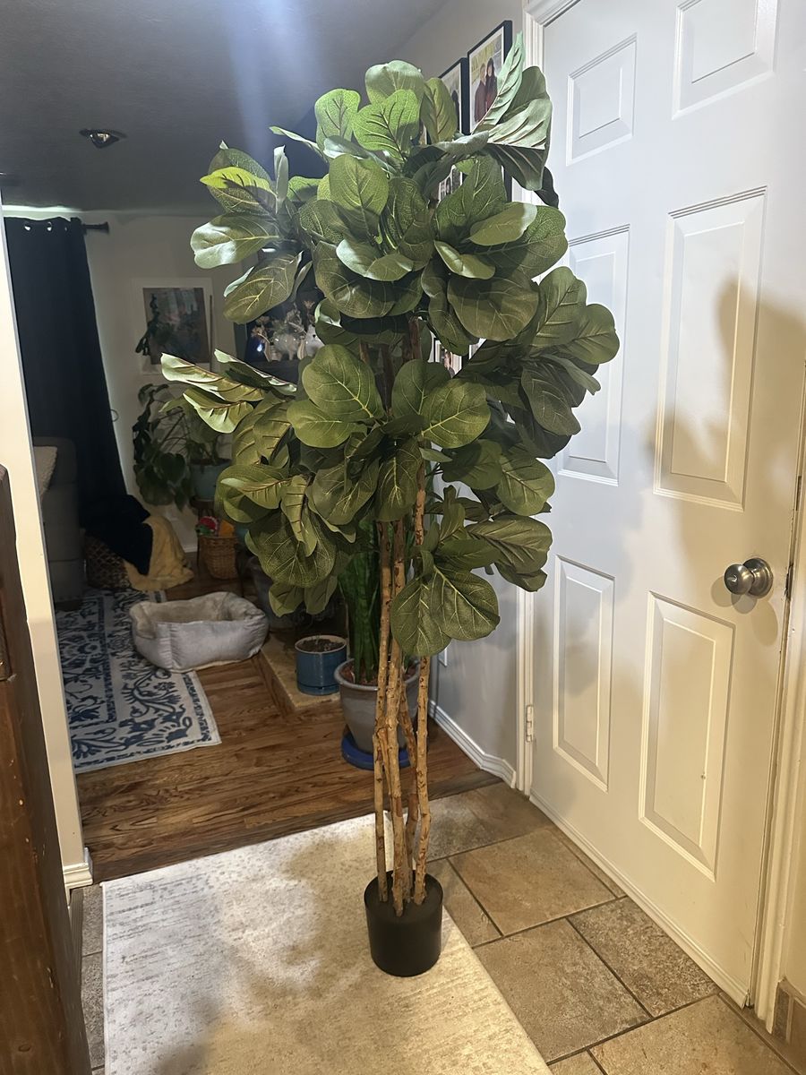 5 1/2 foot faux fiddle leaf fig tree
