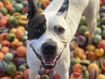 Hello my name is Bree