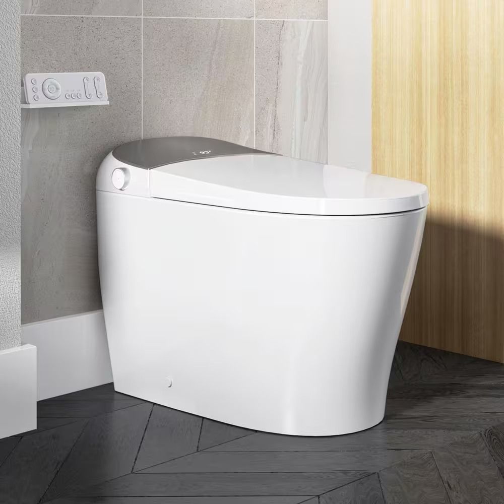 Horow Tankless Smart Toilet Bidet with Flush