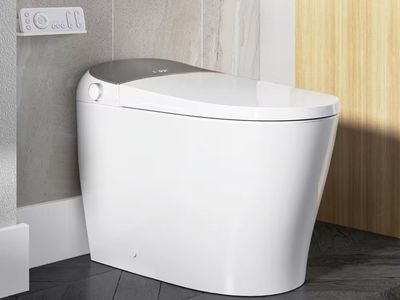 Horow Tankless Smart Toilet Bidet with Flush