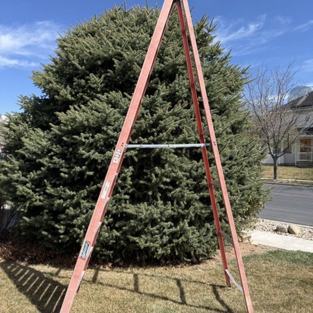 12ft fiberglass Werner ladder