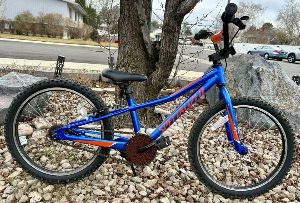 20 Inch Specialized Rip Rock Bike Great Condition