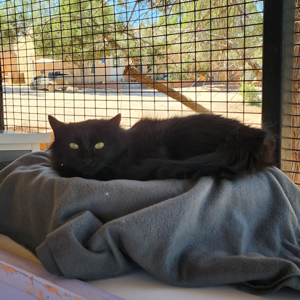 Hello my name is Maddie