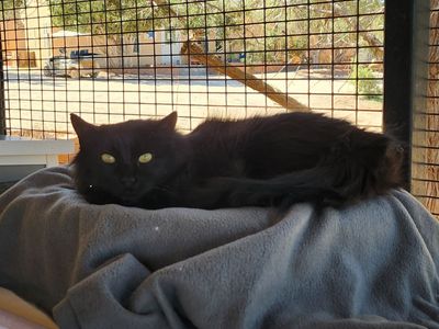 Hello my name is Maddie