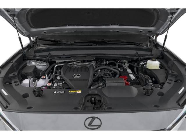 Main image 11