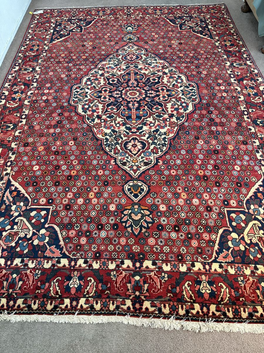 Main image 14