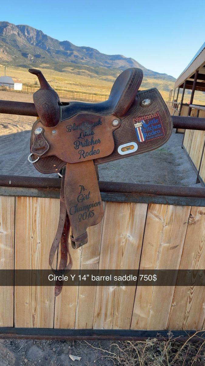14” Circle Y Trophy Barrel Saddle – PRICED TO SELL