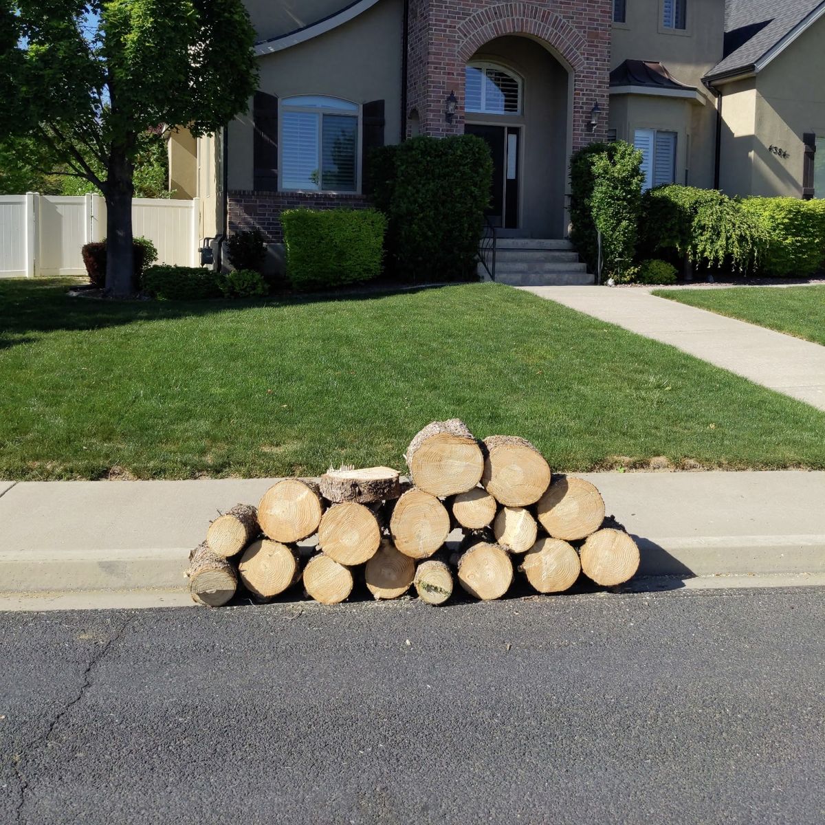 Firewood (spruce)