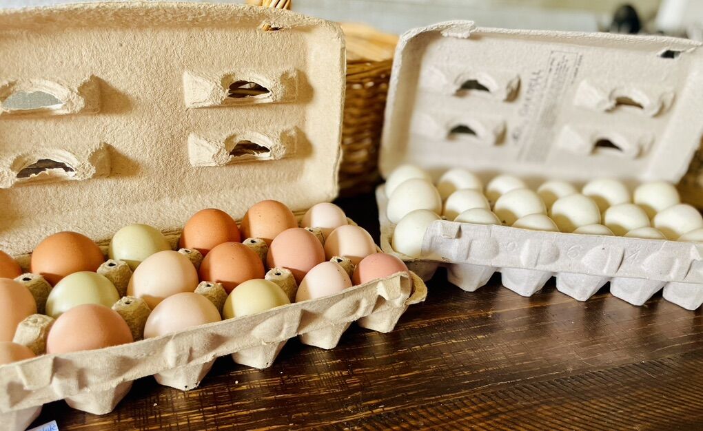 Eggs Chicken & Duck Support Children Farming 501c3