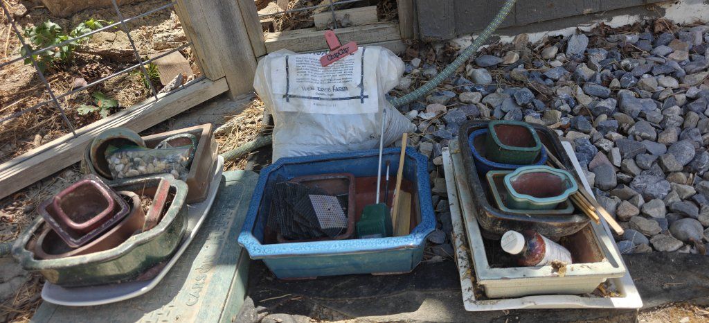 Assorted Used Bonsai Pots & Trays - Various Sizes & Styles