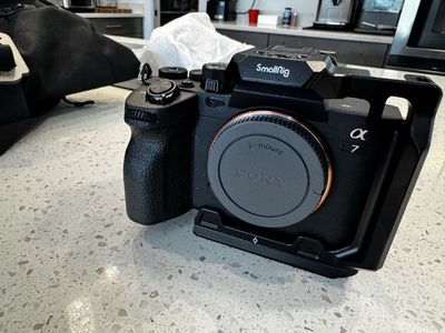 Sony Alpha A7 IV Mirrorless Camera Body with SmallRig Cage