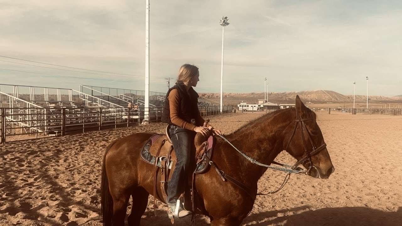 ROSITA - 12YR BARREL & POLE HORSE - WIN & BE SAFE