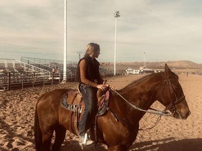 ROSITA - 12YR BARREL & POLE HORSE - WIN & BE SAFE