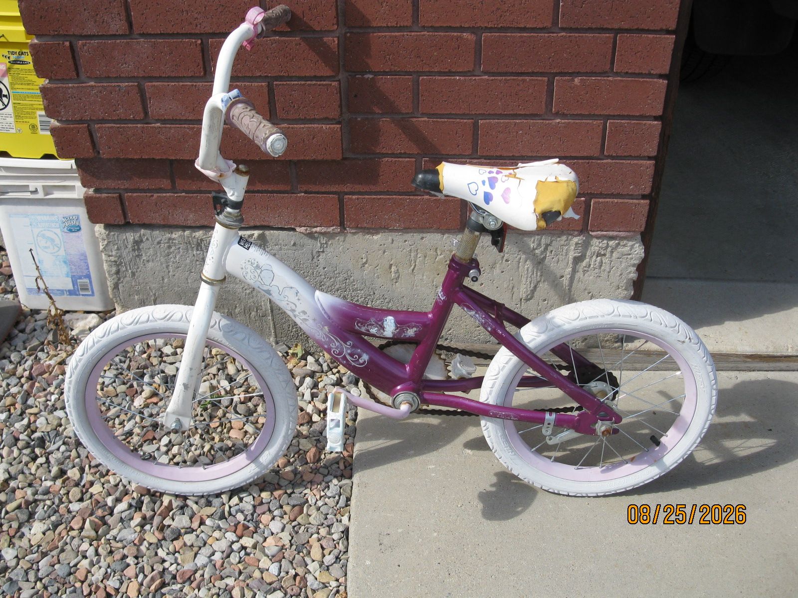 Little Girls Bike