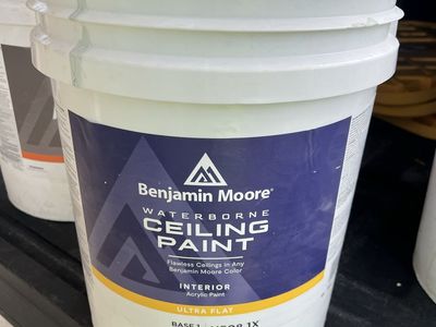Ceiling paint, and waterborne epoxy paint