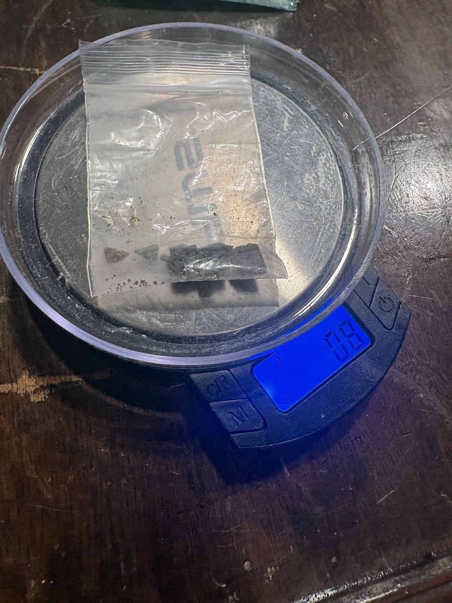 Juvenile Ball, Python, And Enclosure