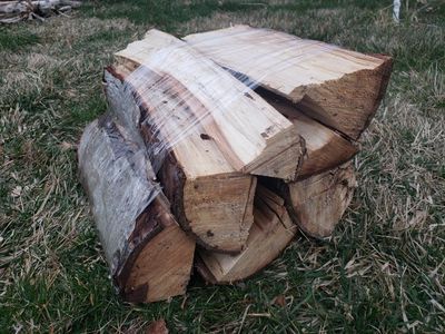 Campfire Fire Wood