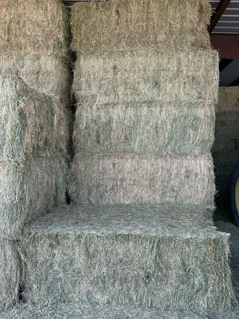 2nd Crop Alfalfa 3x4x8