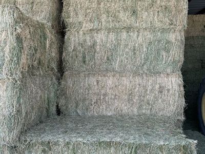 2nd Crop Alfalfa 3x4x8