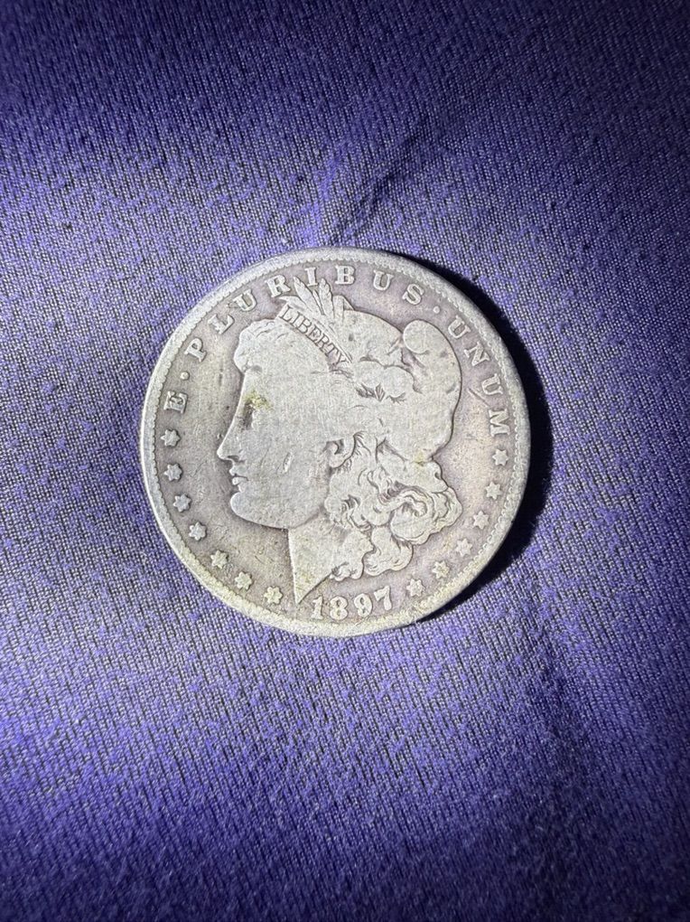 Silver Morgan